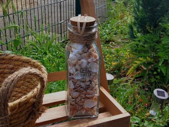 Home Accents Dekomuscheln im Glas, ca. 100 St�ck