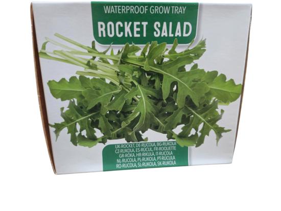 Staro Anzuchtschale Rucolasalat mit Rucola-Samen
