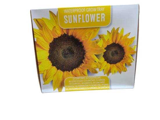 Staro Anzuchtschale Sonnenblume mit Sonnenblumen-Samen